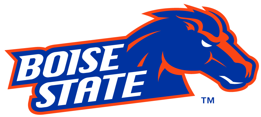 Boise State Broncos 2012-2013 Secondary Logo DIY iron on transfer (heat transfer)